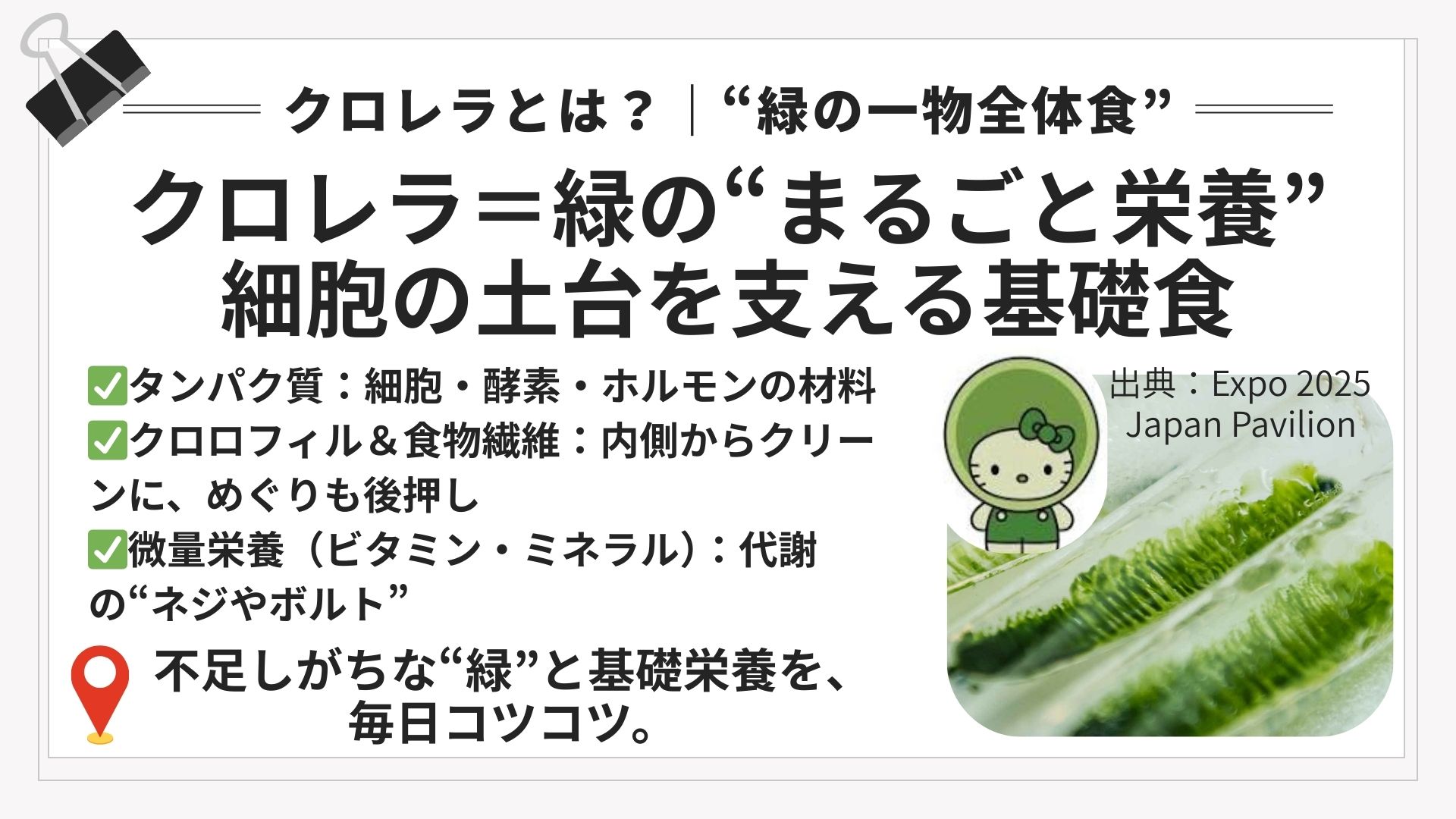 クロレラ(チクゴ株)で出す×入れる|腸活×栄養のベースづくり|ほどよい堂