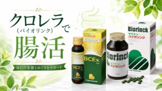 クロレラ(バイオリンク)で腸活|脾(消化吸収)を立て直し、栄養×吸収×巡りを整える方法