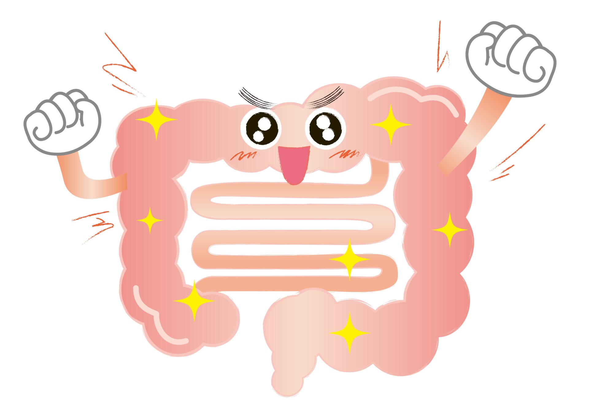 腸活がカギ｜プロバイオティクス・プレバイオティクス・バイオジェニックス＋リーキーガット視点