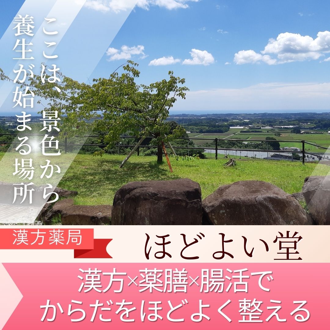 ほどよい堂｜漢方×薬膳×腸活のトリプルメソッド（監修者紹介イメージ）