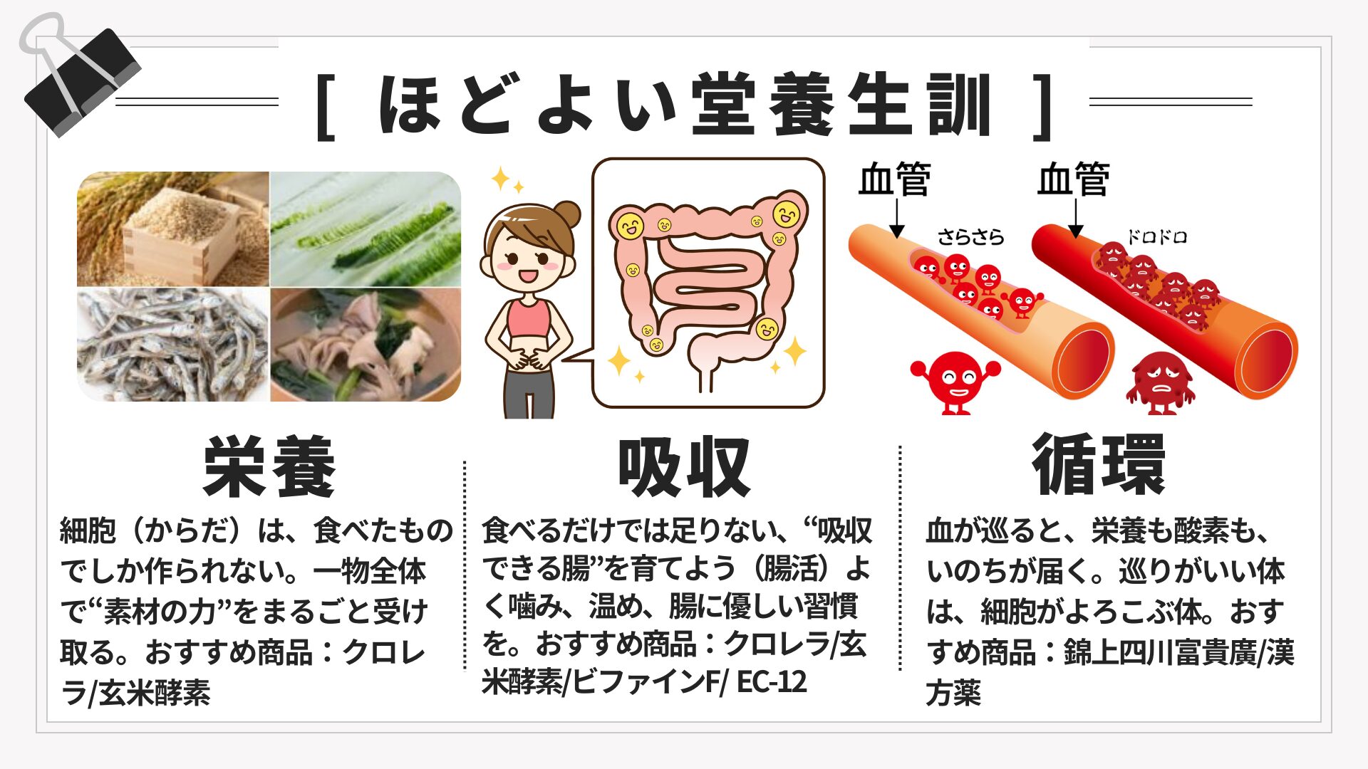 ほどよい堂養生訓｜栄養・吸収・循環の3本柱（つくる・取り込む・巡らす）