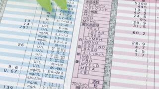 自律神経の乱れを整える方法|血液検査×分子栄養学×漢方×腸活(ほどよい堂)