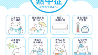 災害時の脱水・熱中症対策｜水分が限られるときの守り方