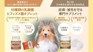 犬・猫の腸活は“口から腸まで”｜PREMEAL（プレミール）で腸内環境を整える方法