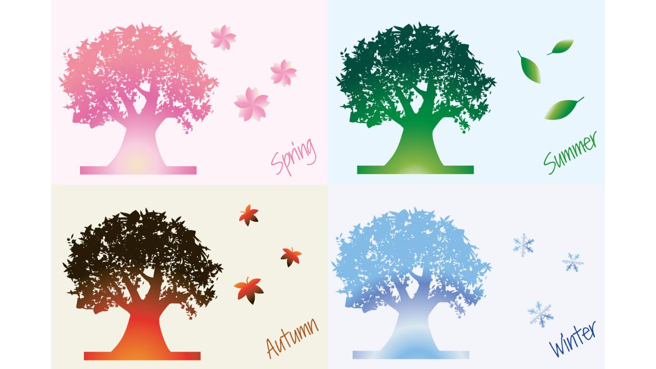 季節（春夏秋冬）に合わせた薬膳茶の飲み方