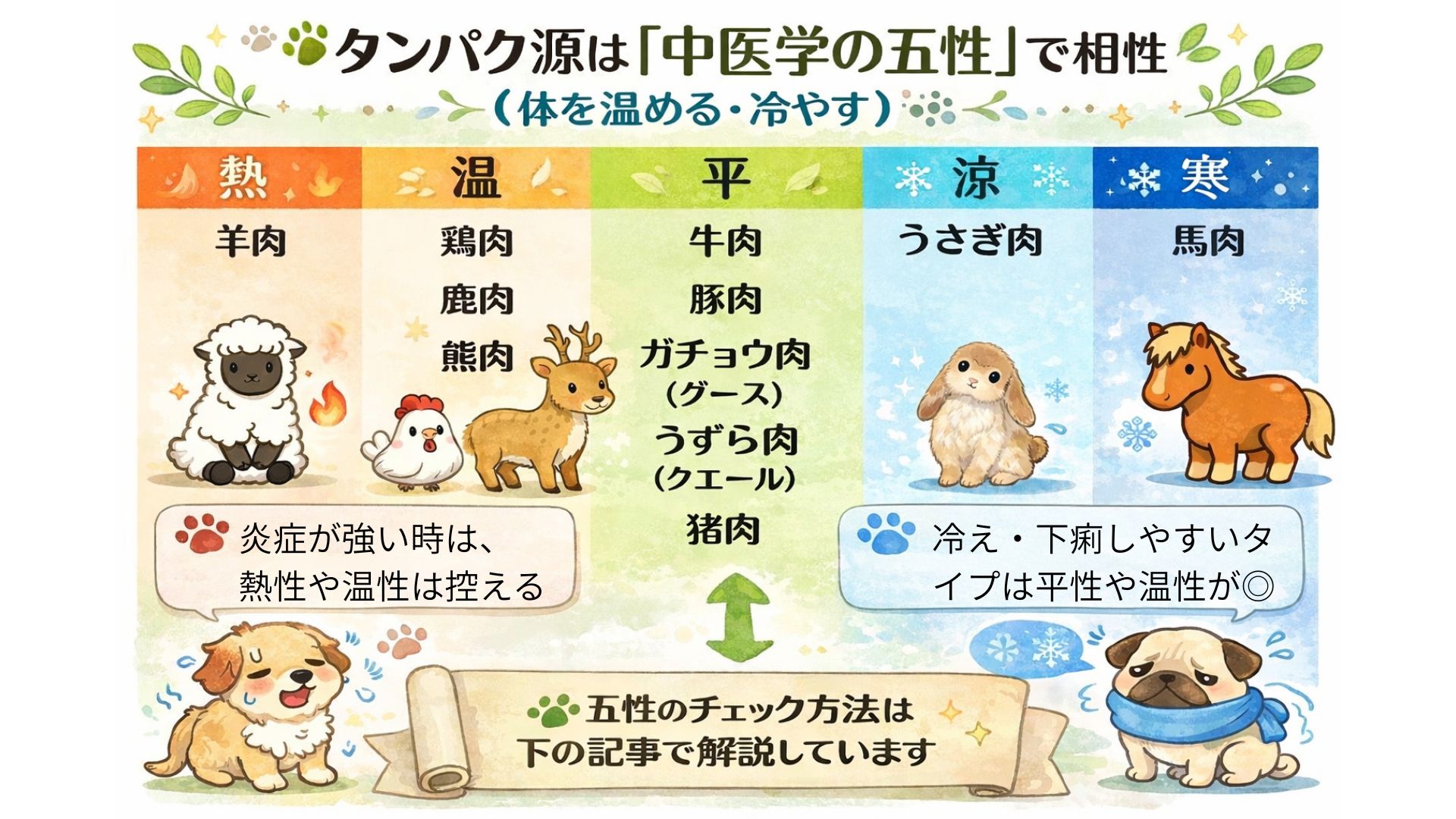 タンパク源（肉・魚）のイメージ（ほどよい堂）