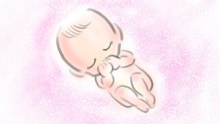 妊活・おりもの・におい・かゆみは腸活と関係ある?腟内フローラ・乳酸菌・ビタミンDを専門的に解説