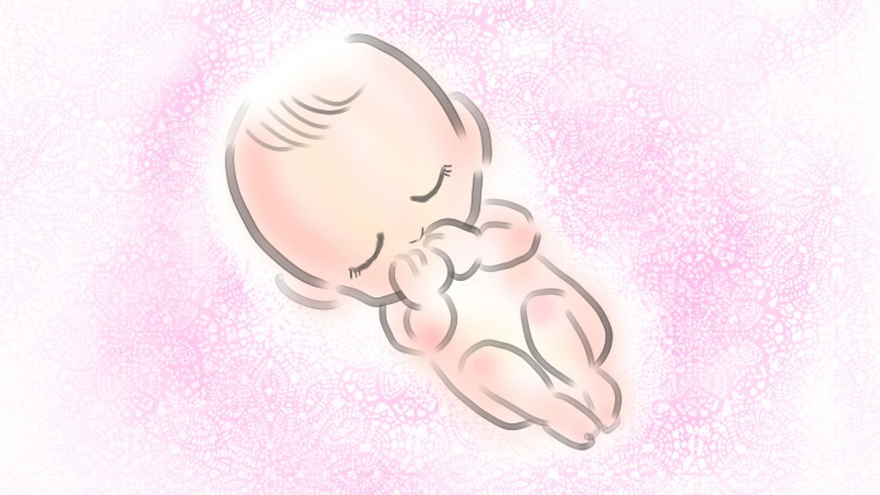 妊娠中の漢方・薬膳は攻めない|避けたい生薬カテゴリとチェック法|ほどよい堂