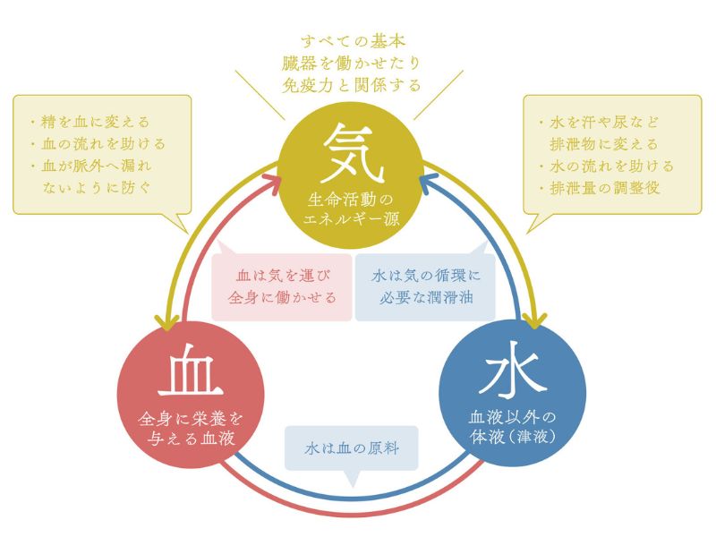 気・血・水のバランス（中医学の基本）イメージ｜ほどよい堂