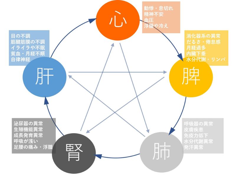 陰陽五行（中医学の基本）イメージ｜ほどよい堂