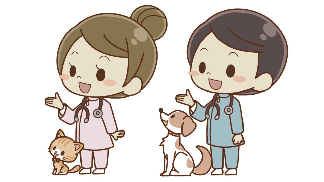 動物病院のイメージ写真|犬の血液検査と腎臓チェック