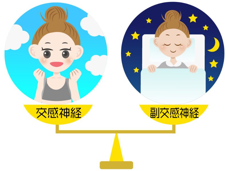 自律神経と疲労のイメージ