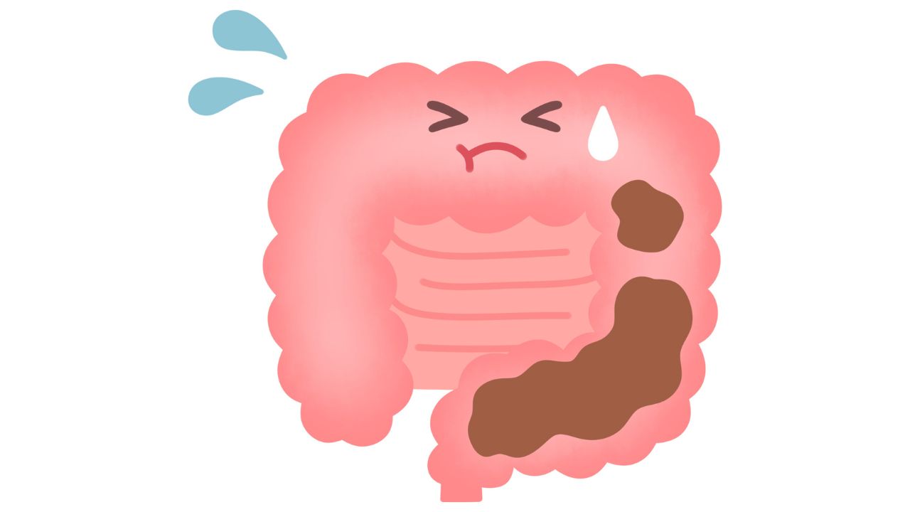 40代トラック運転手の便秘対策|脾胃から整える腸活ガイド ほどよい堂