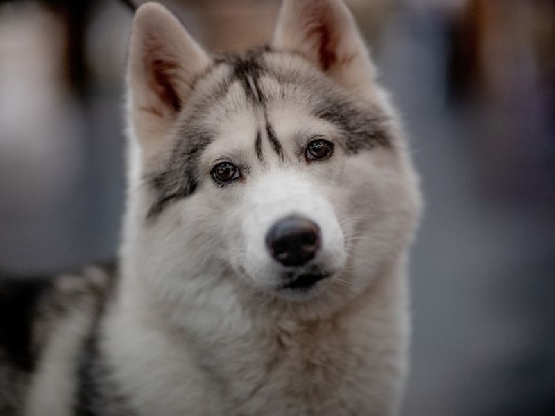 食事改善の継続イメージ