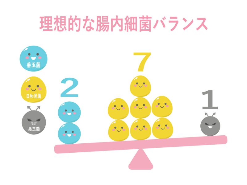 腸内フローラ(腸内細菌)のイメージ|ほどよい堂