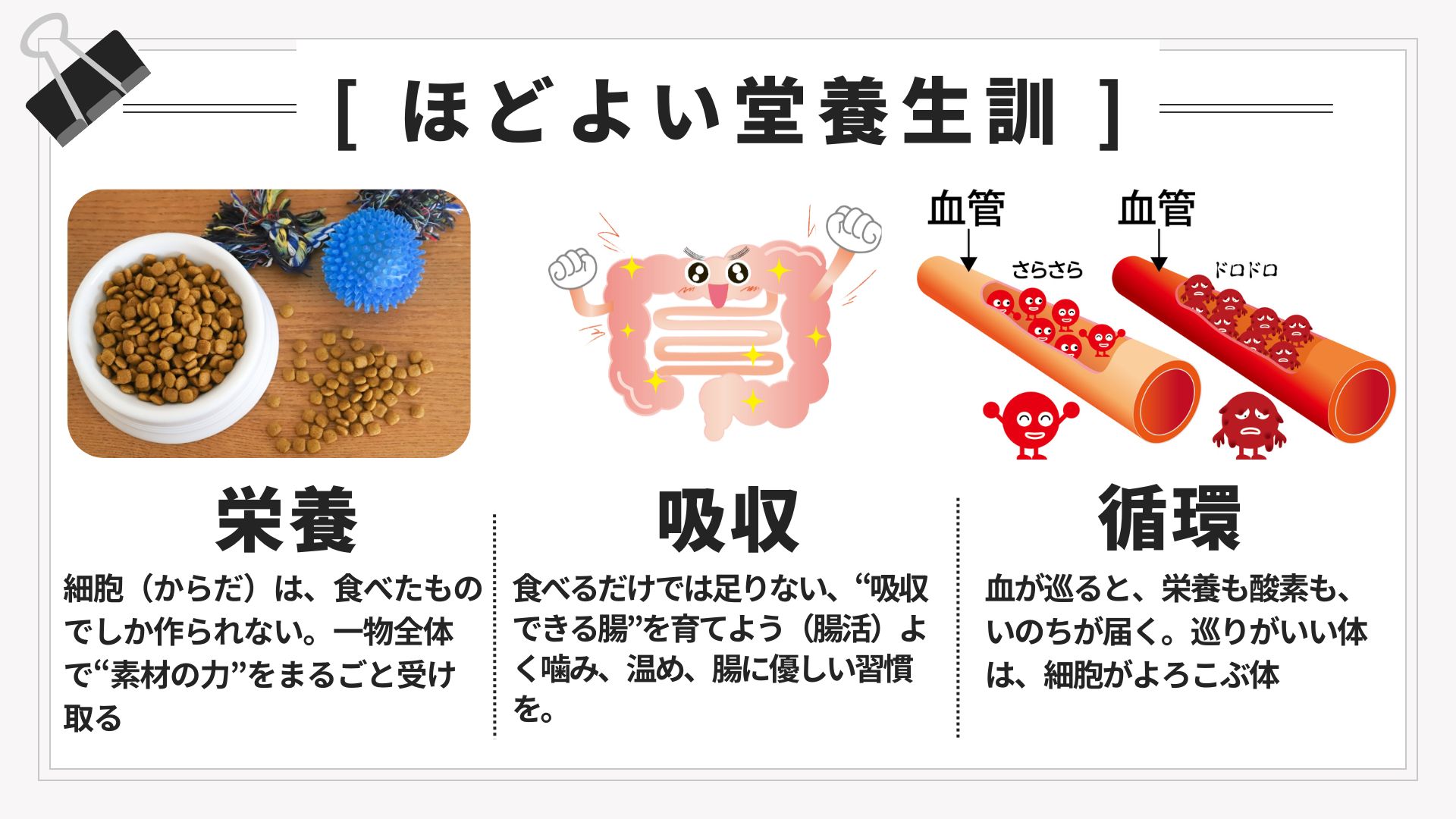 犬の体質に合わせたケアのイメージ