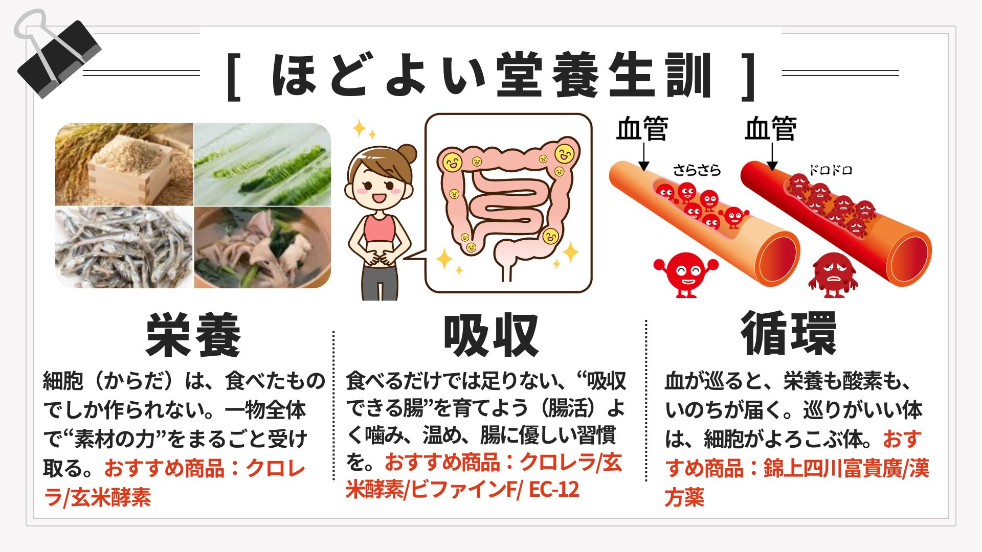 ほどよい堂の養生（栄養・循環・吸収）を示すイメージ図