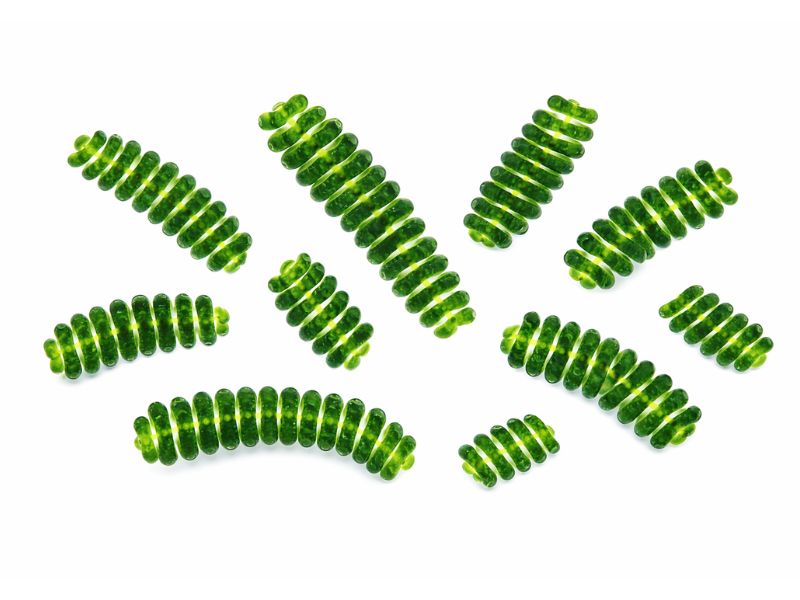 スピルリナのイメージ画像（ほどよい堂）