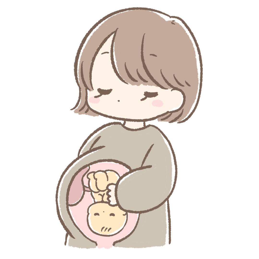 妊娠中の漢方・薬膳は安全側で|攻める生薬・攻める方剤の基本ルール|ほどよい堂