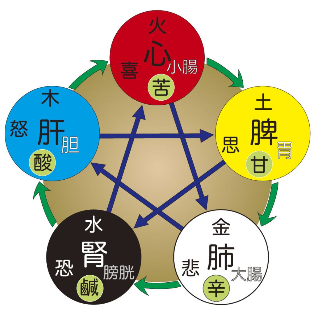 陰陽五行でみる体質(証)の整理|腰痛タイプ別の考え方|ほどよい堂