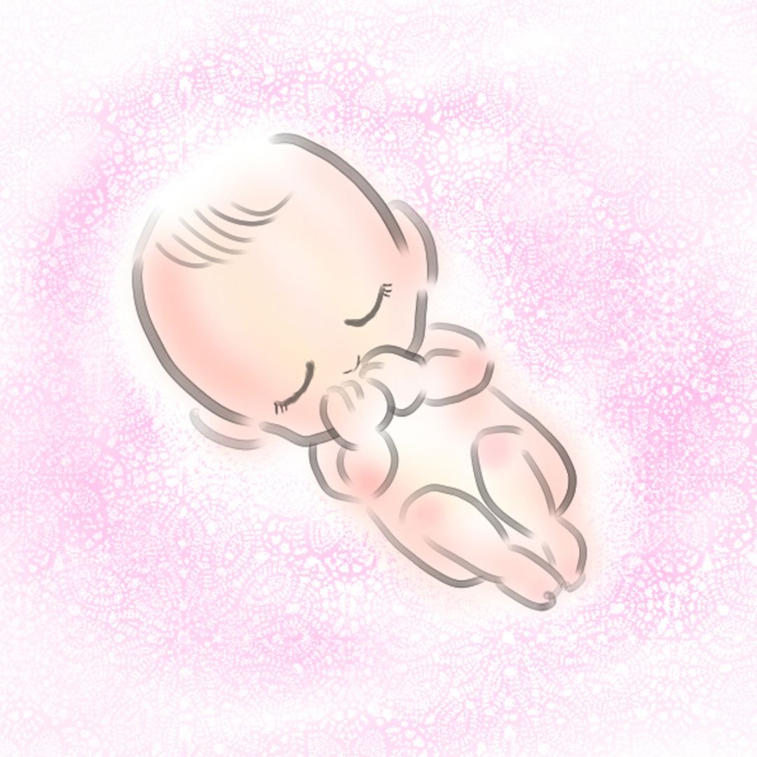 妊娠中の体調変化と薬膳茶の選び方|ほどよい堂