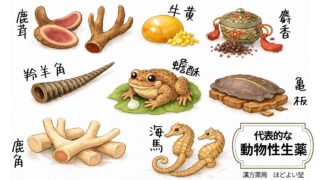 性欲低下・潤い不足・ED傾向に動物性生薬は使われる？鹿茸・亀板・牛黄などを漢方的に解説