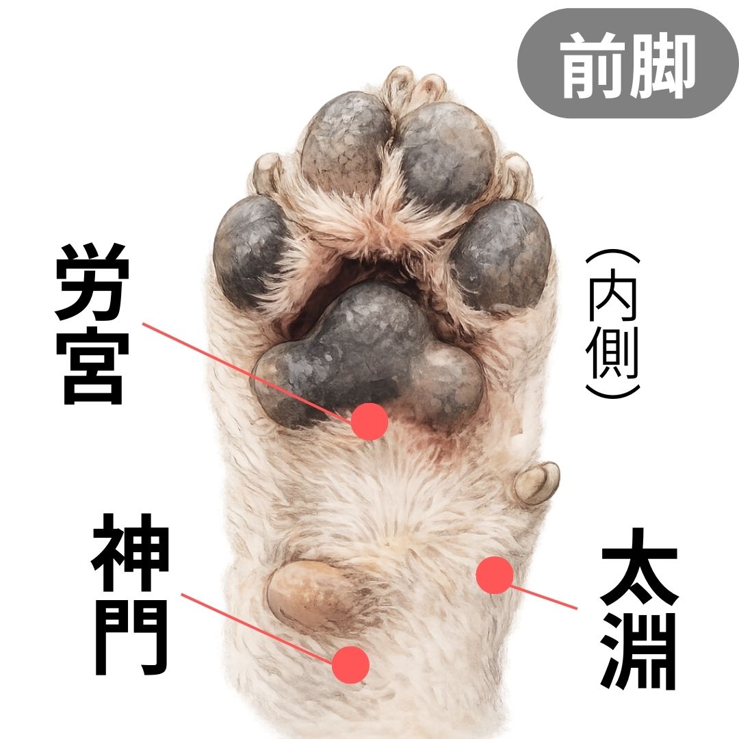 漢方薬局ほどよい堂のイメージ