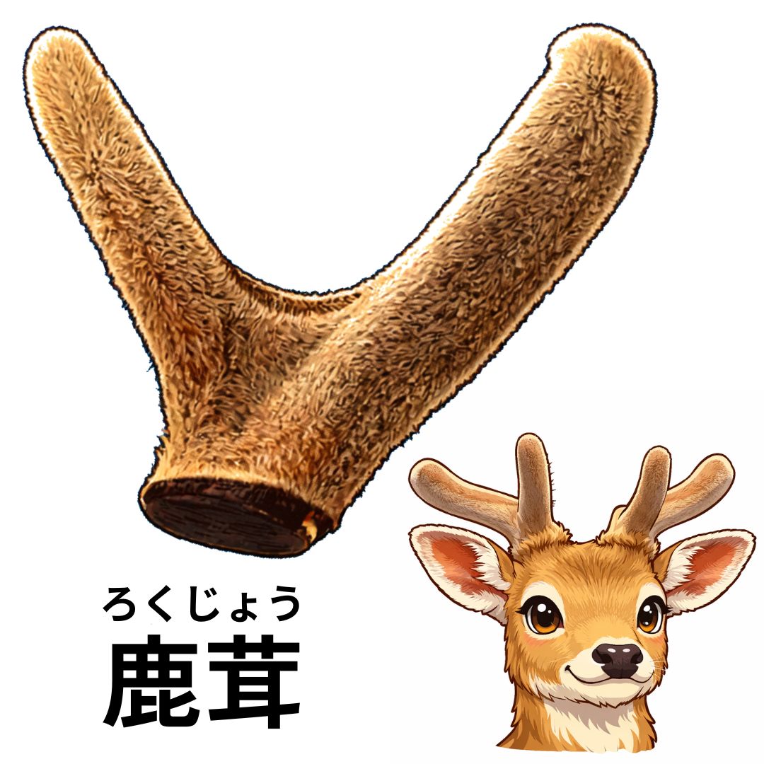 鹿茸（ろくじょう）のイメージ画像