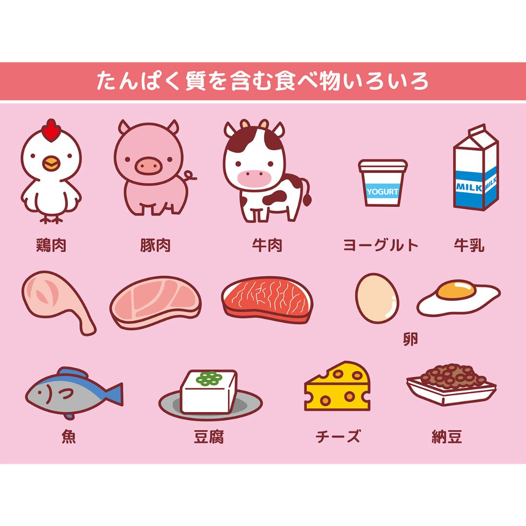 タンパク質不足のサインと体の変化イメージ