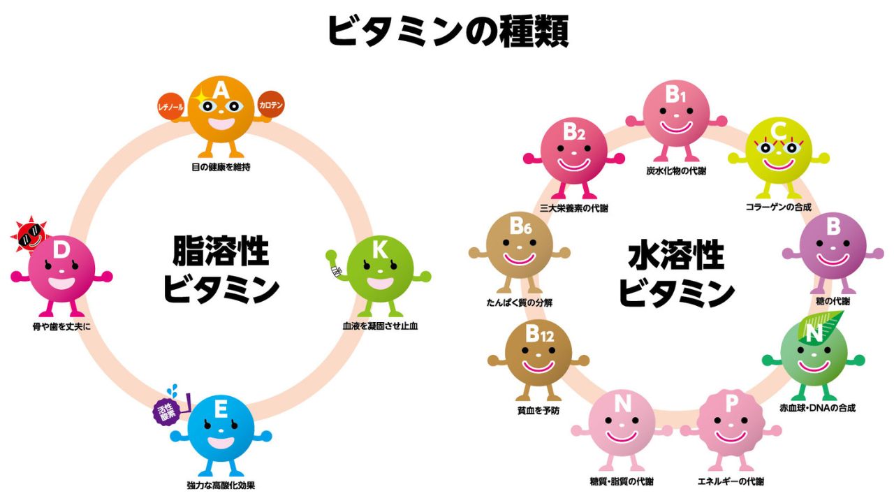 ビタミン一覧イメージ