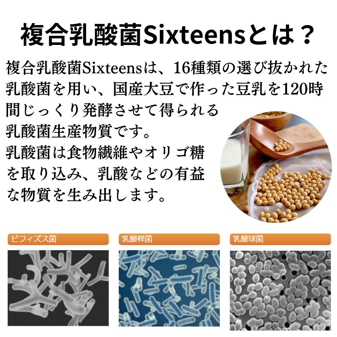 複合乳酸菌のイメージ