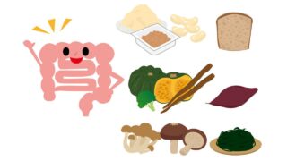ルミナコイドとは？食物繊維との違い・腸活への活かし方を漢方薬局がやさしく解説