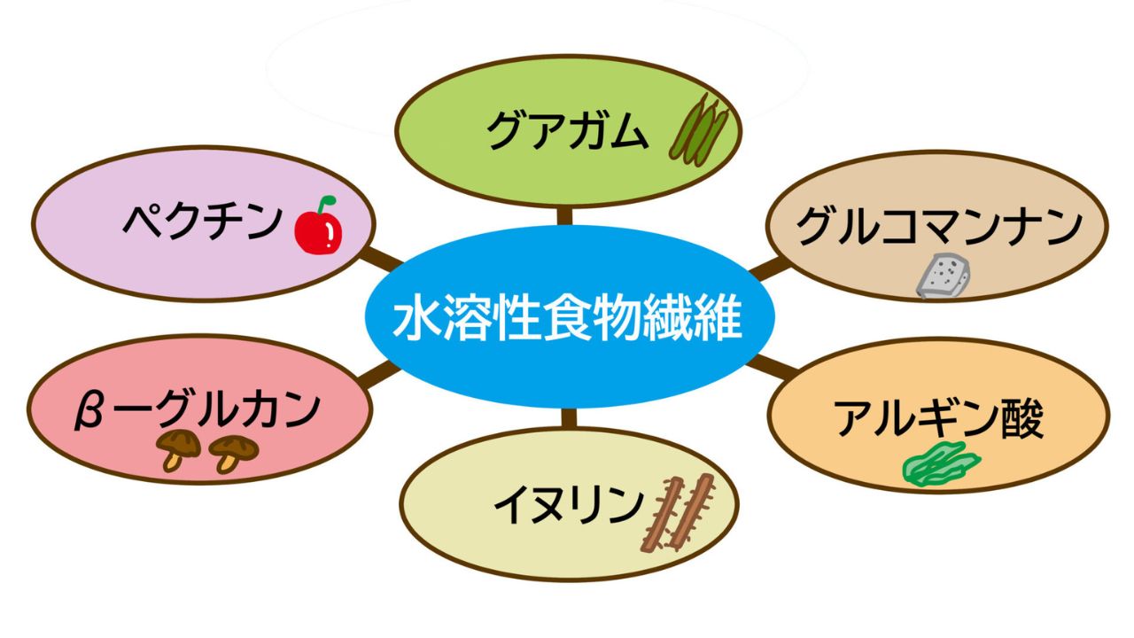 味噌汁や野菜スープで腸活を続けるイメージ