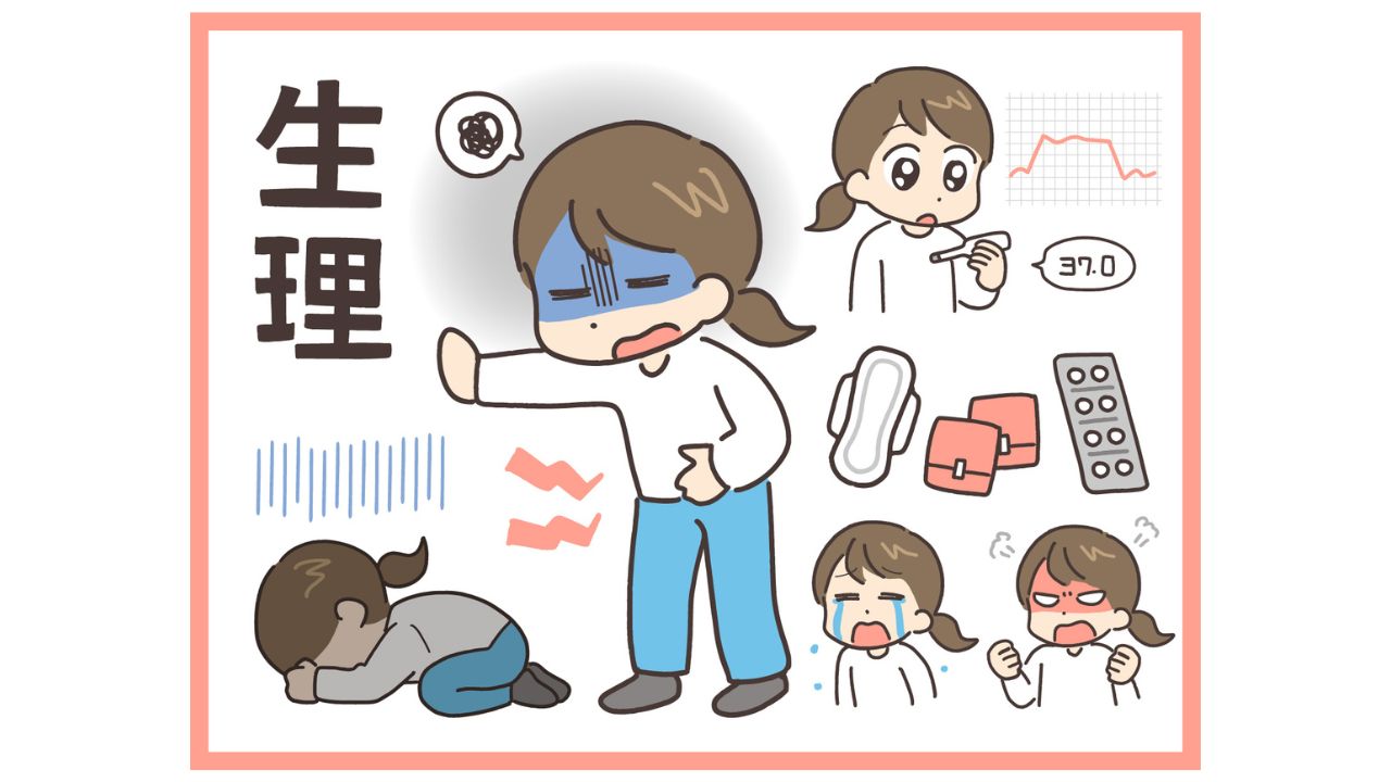 女性ホルモンと周期療法のイメージ