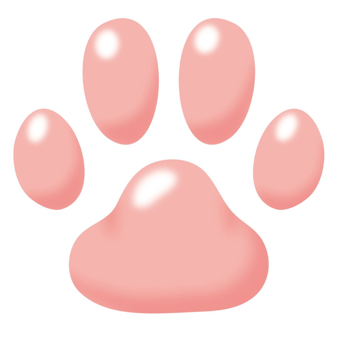 犬の肉球をやさしくチェックするイメージ