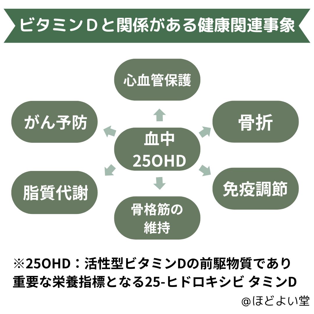 ビタミンDと腸内細菌のイメージ