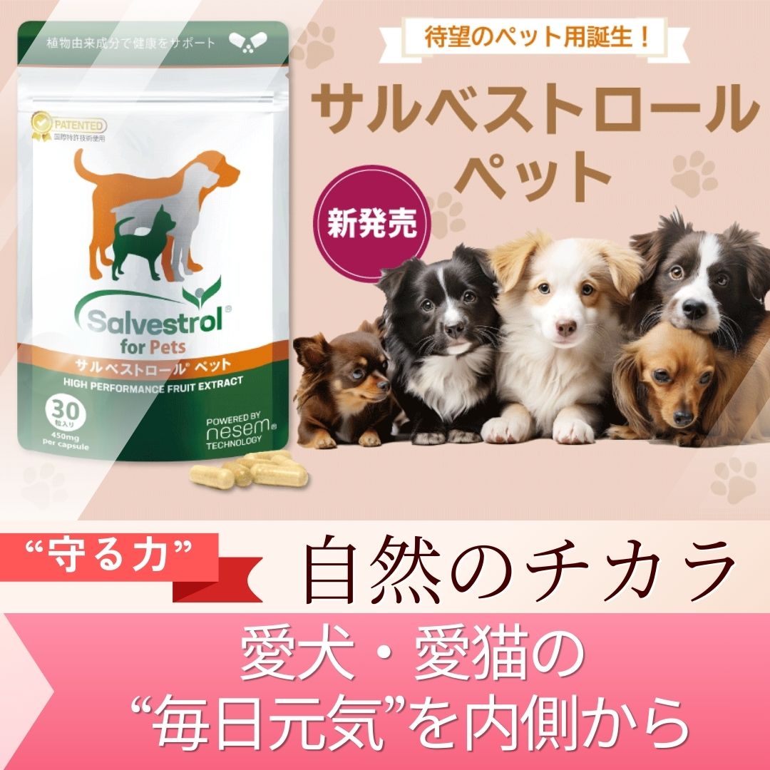 サルベストロール ペット