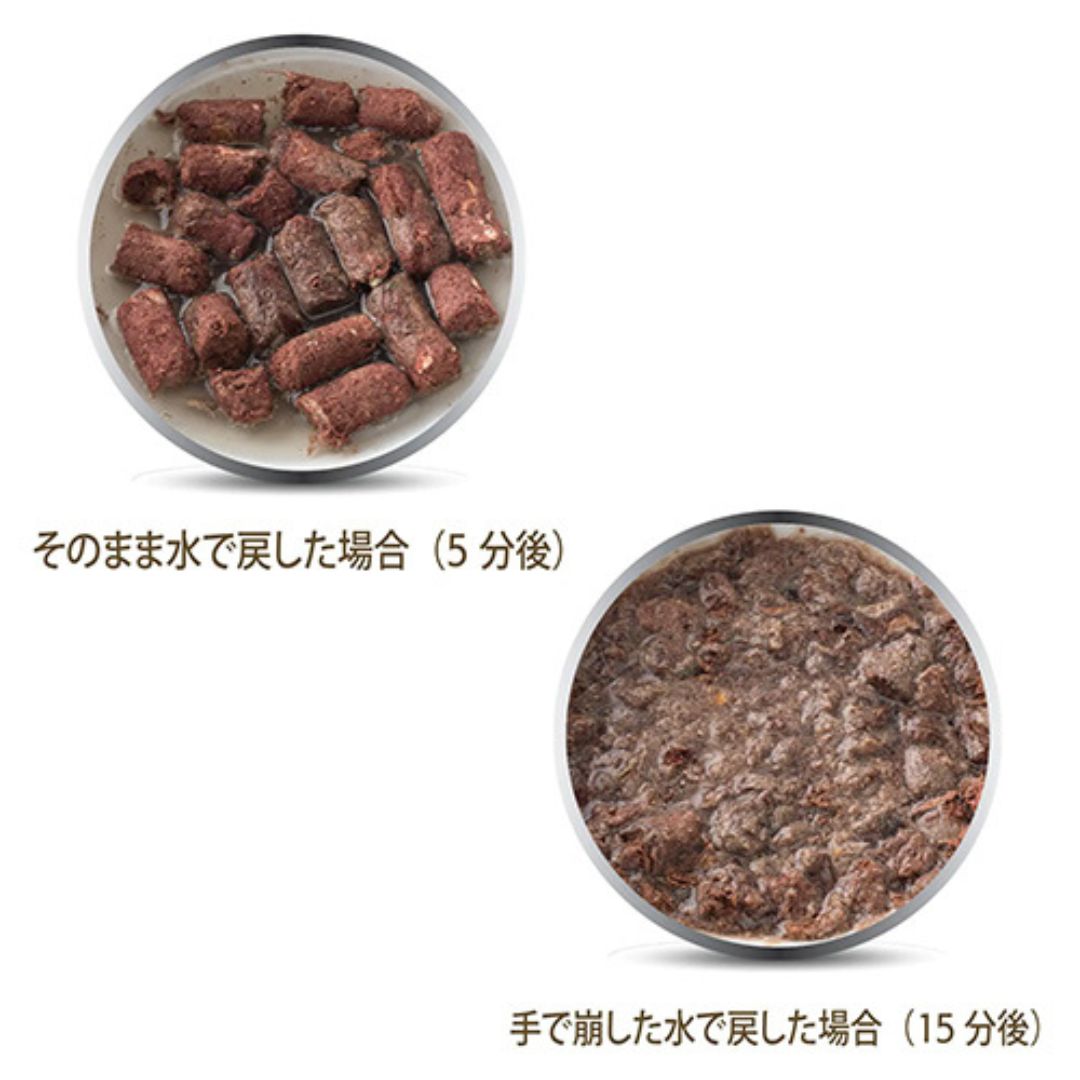 K9ナチュラルを食べる愛犬のイメージ