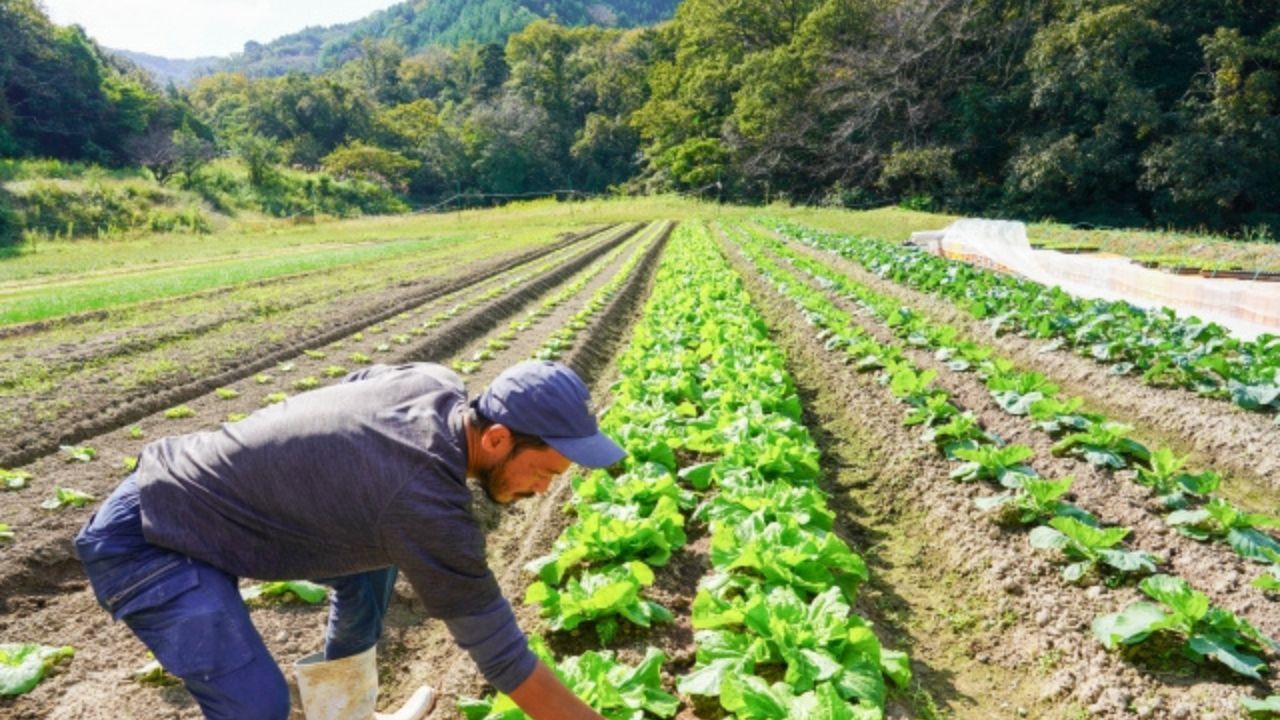 農作業と暑さ対策のイメージ