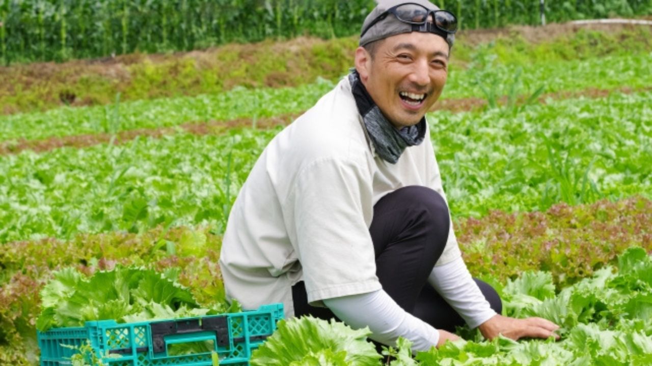 農業と漢方的セルフメンテナンスのイメージ