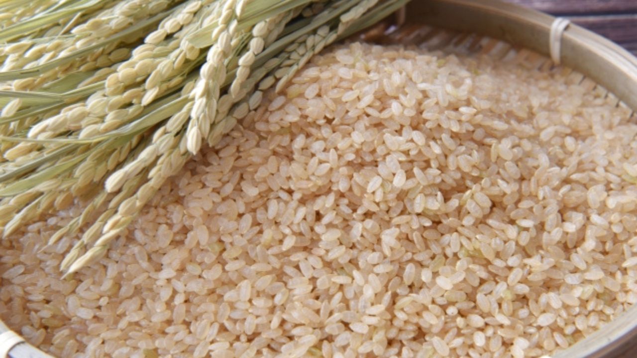 玄米のイメージ|漢方薬局ほどよい堂