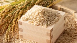 玄米は本当に体にいい?最新エビデンス・注意点・体質別の取り入れ方を徹底解説