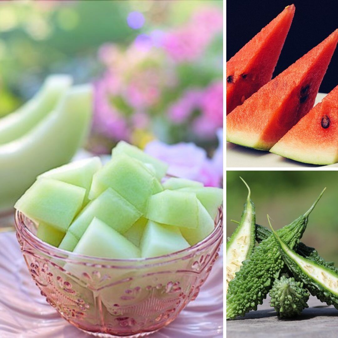 清熱類のイメージ 漢方薬局ほどよい堂