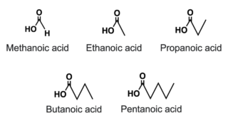 短鎖脂肪酸とは？腸活「痩せ菌」・ダイエット・便通改善に役立つ増やし方を漢方薬局が解説