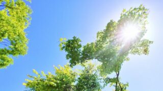 ビタミンDの摂取量は何IUが目安？サプリと処方薬の違いを漢方薬局がわかりやすく解説