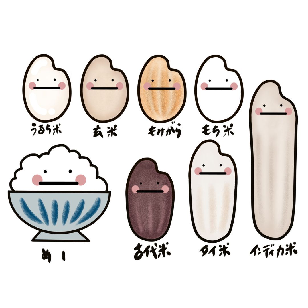 白米と玄米の違い