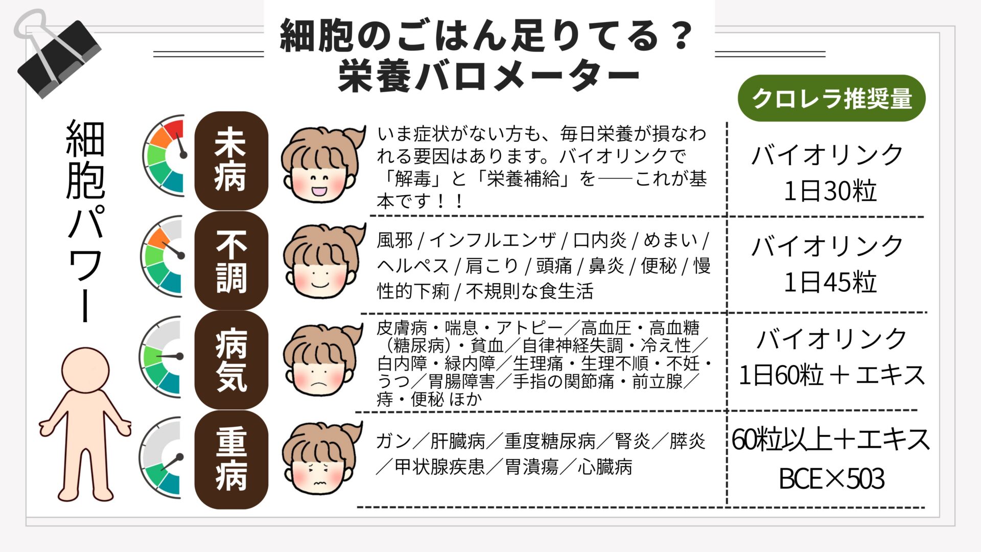 バイオリンクのおすすめ摂取量 1日30粒 45粒 60粒 エキスの目安