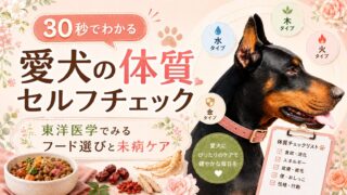 愛犬の体質が30秒でわかる｜東洋医学セルフチェックで始めるフード選びと未病ケア