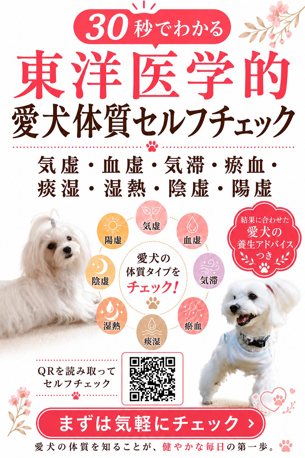 1分｜愛犬体質セルフチェック