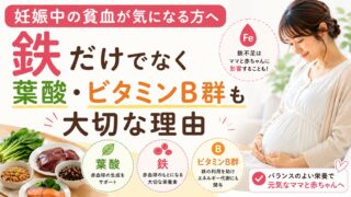 妊娠中の貧血が気になる方へ|鉄だけでなく葉酸・ビタミンB群も大切な理由